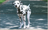 kyoutu_img_2