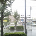 画像右の白い○が倒れた旗です。