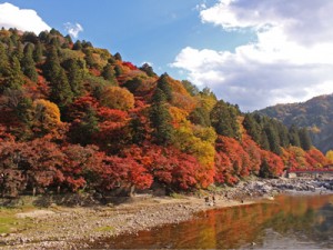 香嵐渓の紅葉です。