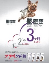 本日16日 水 終日休診 ノミダニの薬ブラベクトについて 日進市の動物病院 アニウェル犬と猫の病院